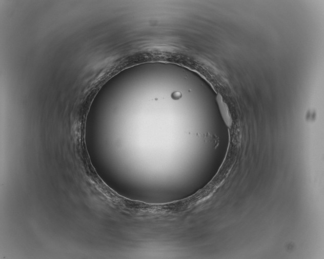 X0000096191061200802011402