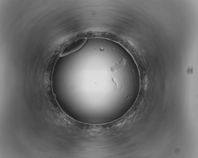 X0000096191062200802011402