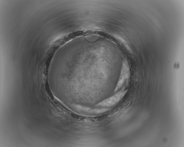 X0000096191063200802011402