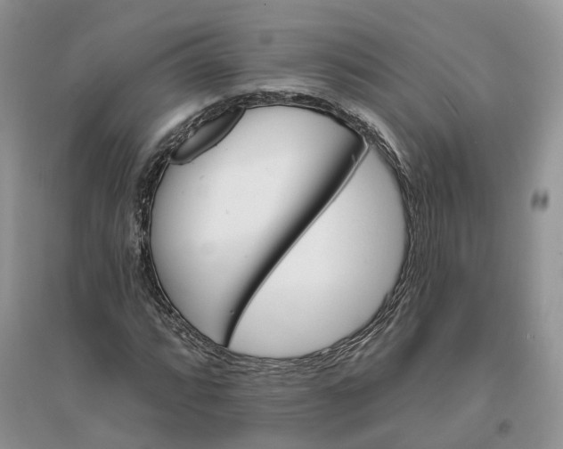 X0000096191064200802011402