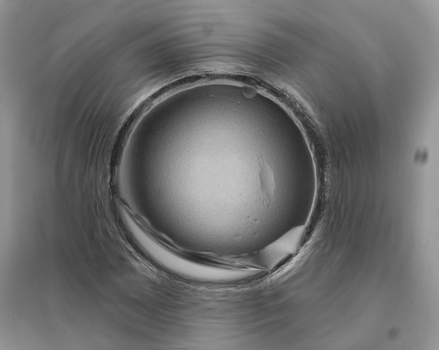 X0000096191065200802011402