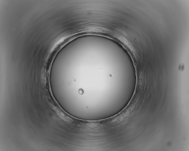 X0000096191067200802011402