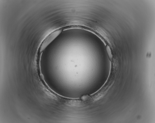 X0000096191068200802011402