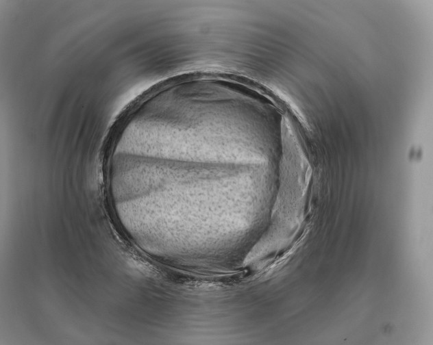 X0000096191070200802011402