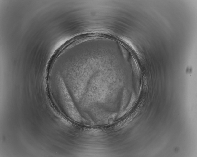 X0000096191071200802011402