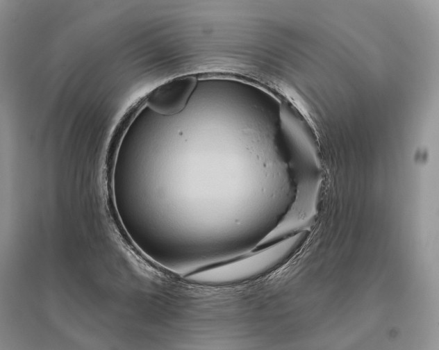 X0000096191072200802011402