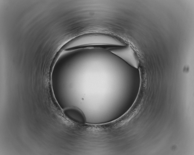 X0000096191073200802011401