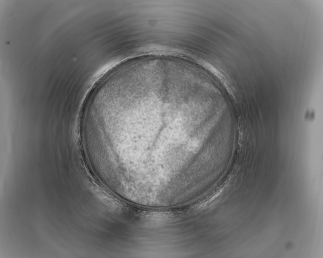 X0000096191074200802011401