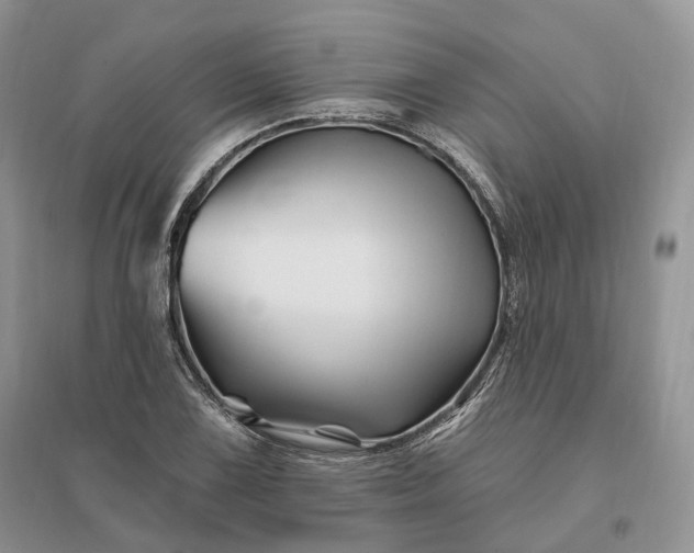 X0000096191075200802011401