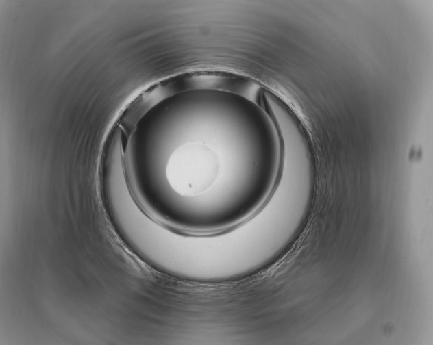 X0000096191076200802011401