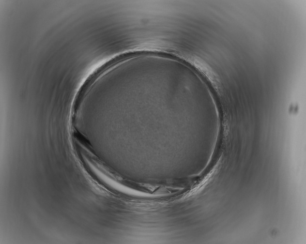 X0000096191077200802011401