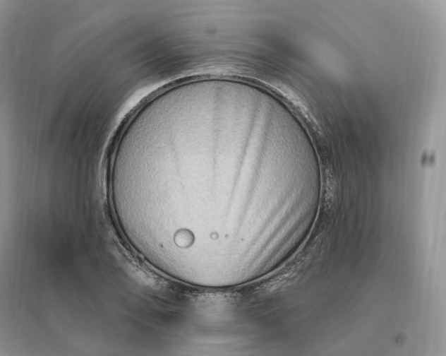 X0000096191078200802011401