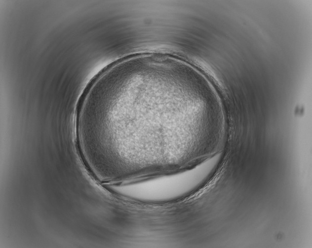 X0000096191079200802011401