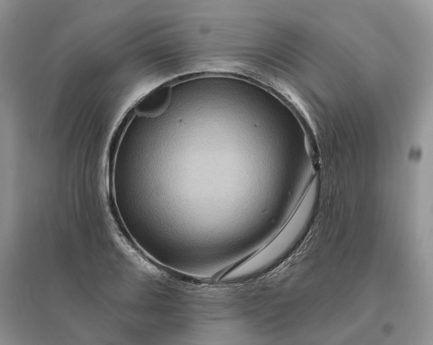 X0000096191080200802011401