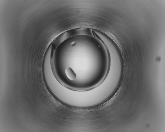 X0000096191081200802011401