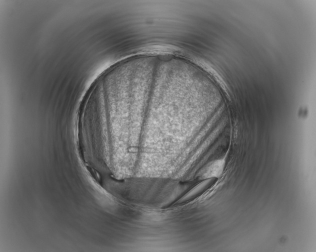 X0000096191083200802011401