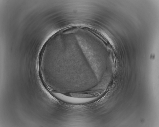 X0000096191084200802011401