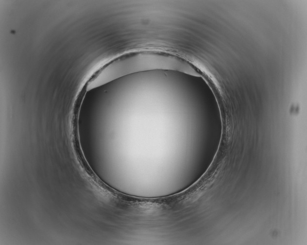 X0000096191085200802011401