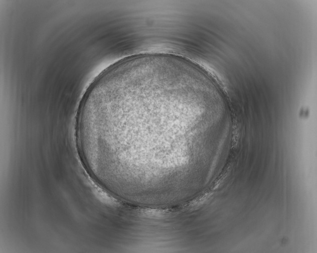 X0000096191086200802011401