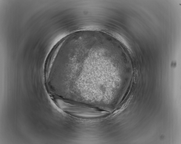 X0000096191087200802011401