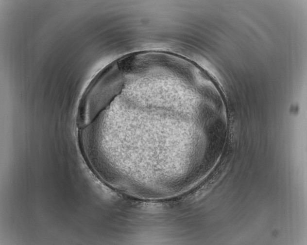 X0000096191088200802011401