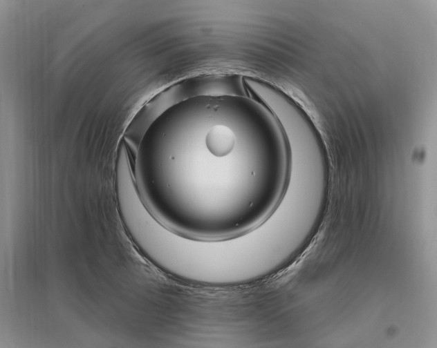 X0000096191089200802011401