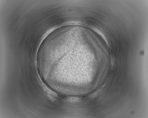 X0000096191090200802011401