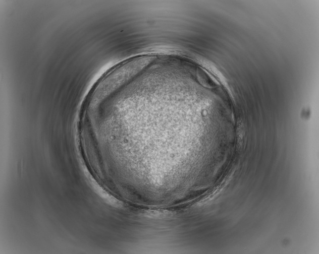 X0000096191091200802011401