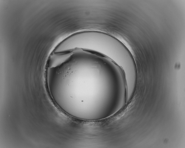 X0000096191093200802011401