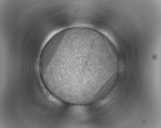 X0000096191094200802011401