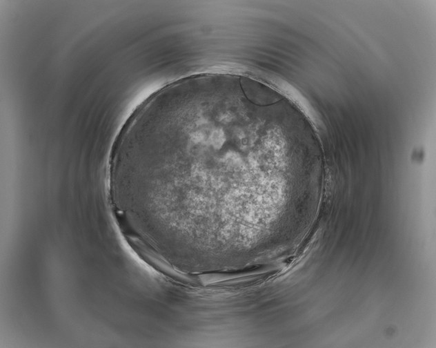 X0000096191095200802011401