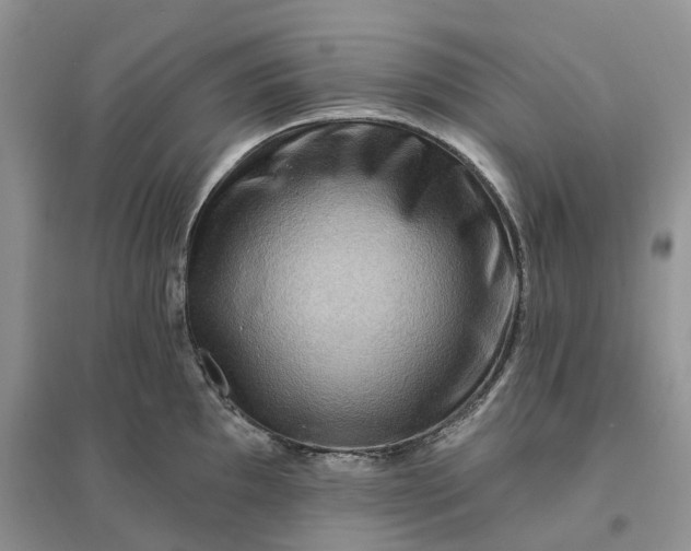 X0000096191097200802011401