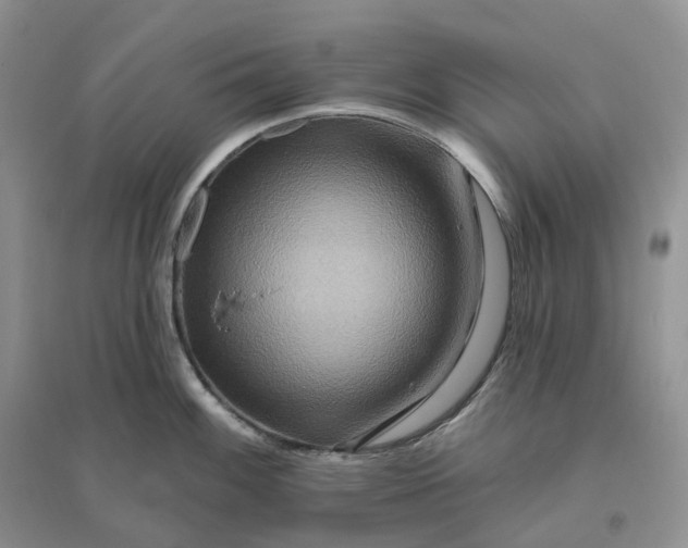 X0000096191100200802011401