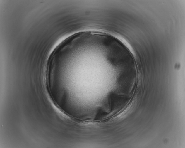 X0000096191101200802011401