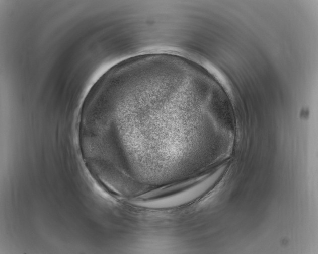 X0000096191102200802011401