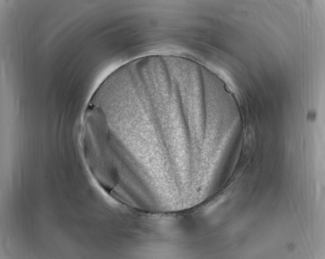 X0000096191103200802011401