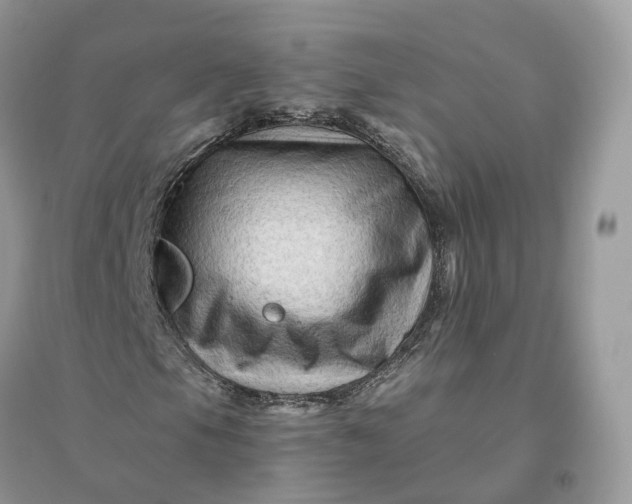 X0000096191105200802011400