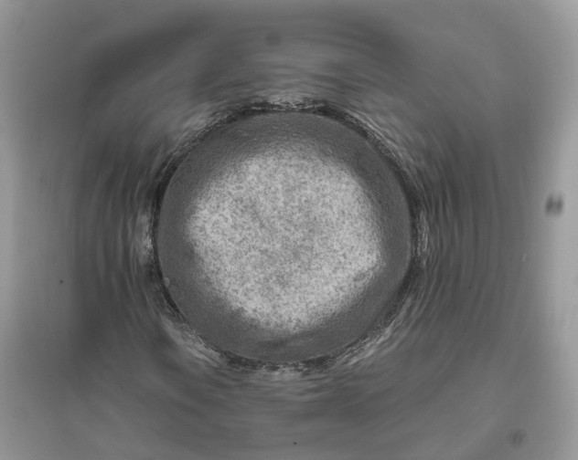 X0000096191106200802011400