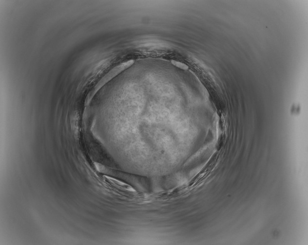 X0000096191108200802011400