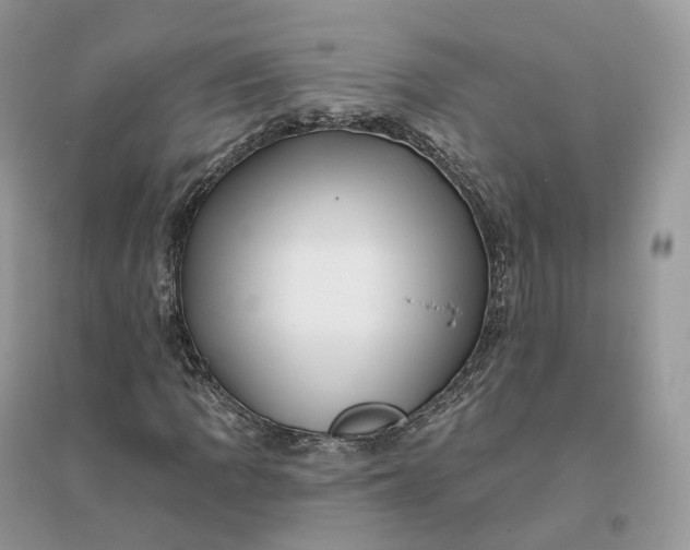 X0000096191109200802011400