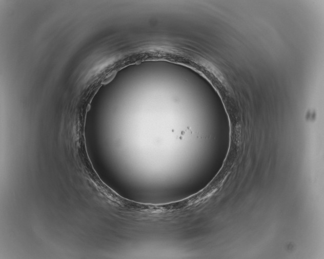 X0000096191111200802011400