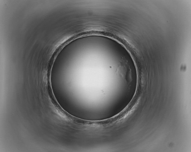 X0000096191113200802011401