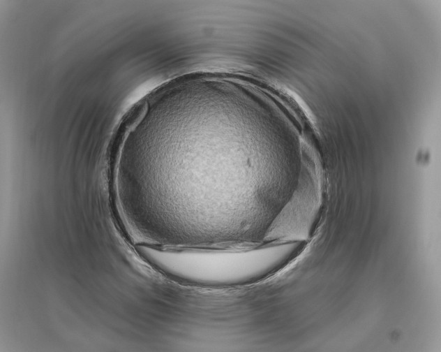 X0000096191114200802011401