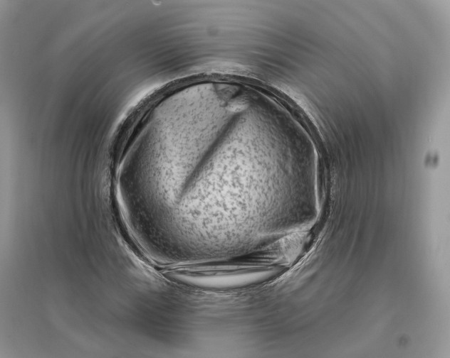 X0000096191115200802011401