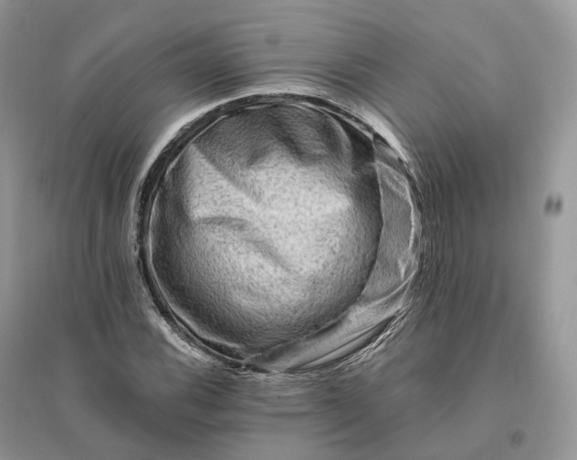 X0000096191116200802011401