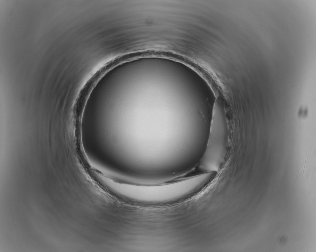 X0000096191118200802011401