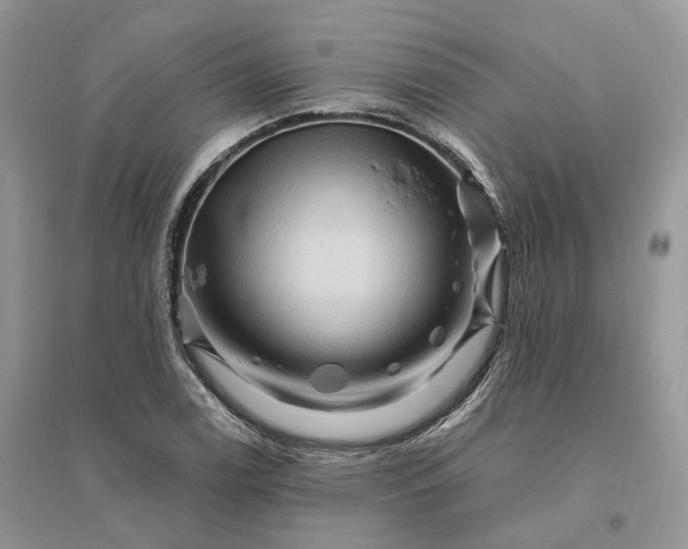 X0000096191122200802011401