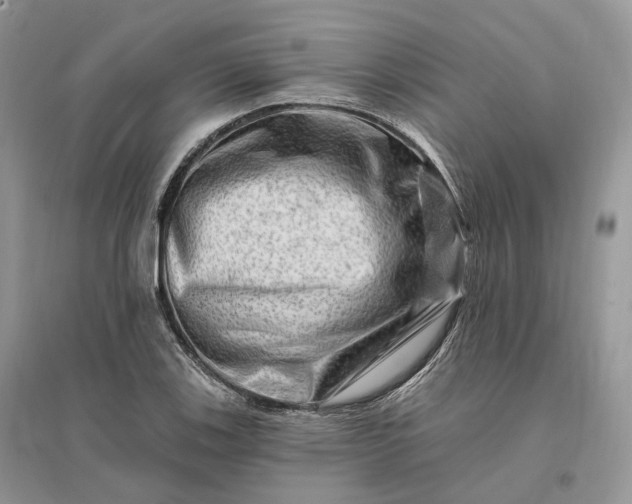 X0000096191123200802011401