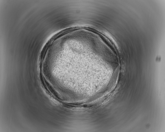 X0000096191124200802011401