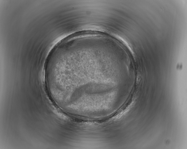 X0000096191125200802011401